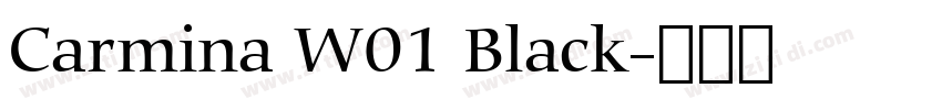 Carmina W01 Black字体转换